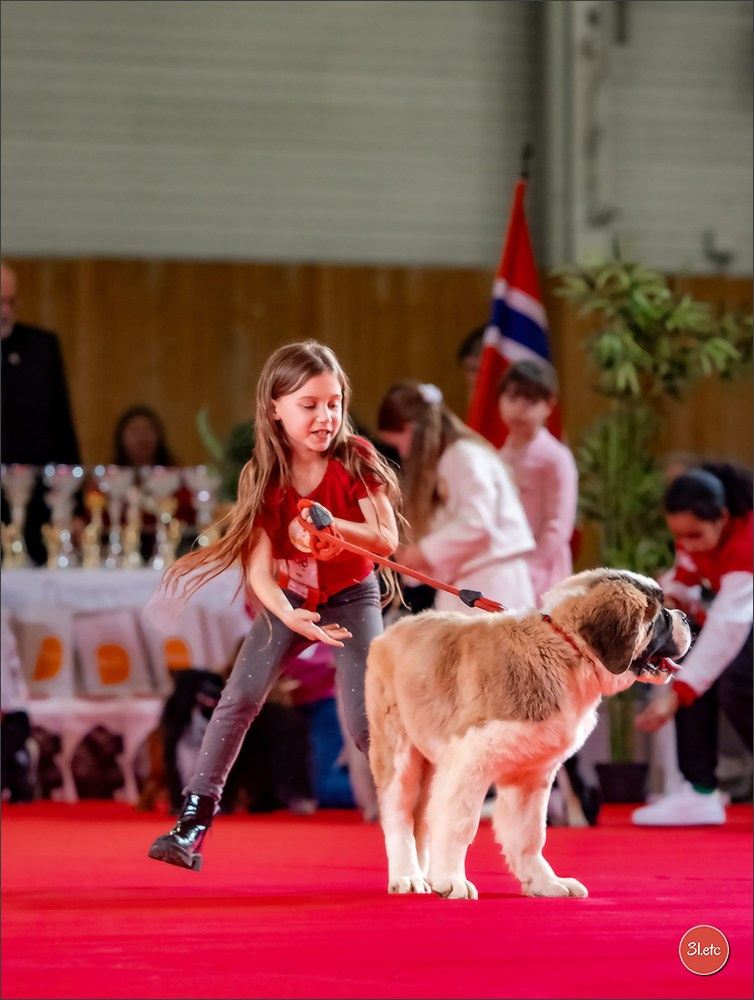 PDS  🇫🇷  Paris Dog Show  🇫🇷  Expo canine  10-11/01/2026. Photographe à Strasbourg | Portraits, Studio, Enfants, Événements