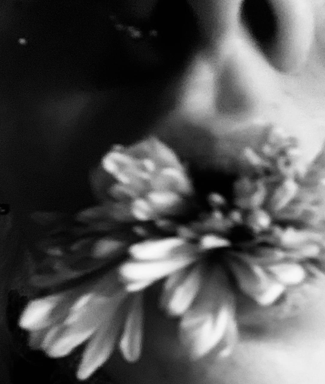 Everything changes and so do I