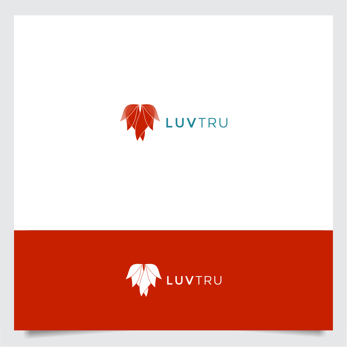 Design. Graphic designer Andreea Maieru