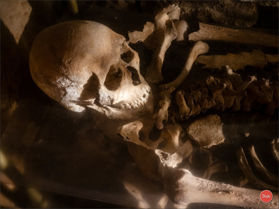 Ретрит в Эльзасе с Марией Ланг. Photographe à Strasbourg | Portraits, Studio, Enfants, Événements