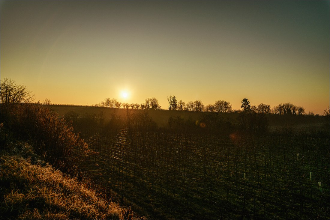 Foggy sunset. Photographe à Strasbourg | Portraits, Studio, Enfants, Événements