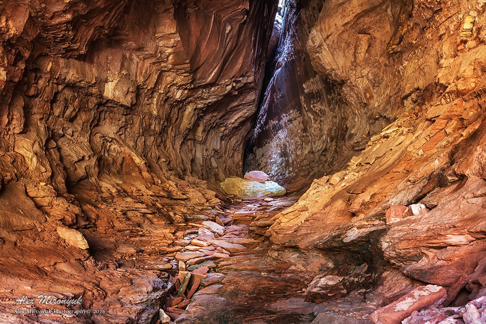 New Year In Utah. Pet, Senior, Landscape, portrait studio, photographer in Miami and Sou