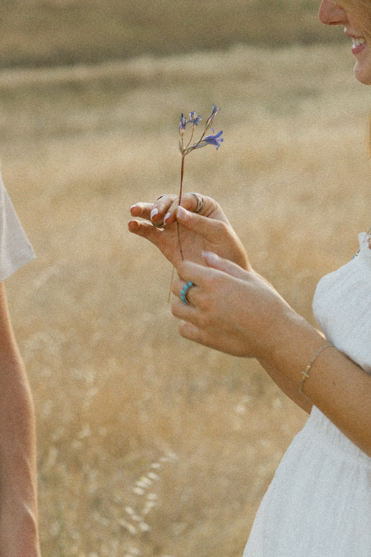 Love Story — Sacramento