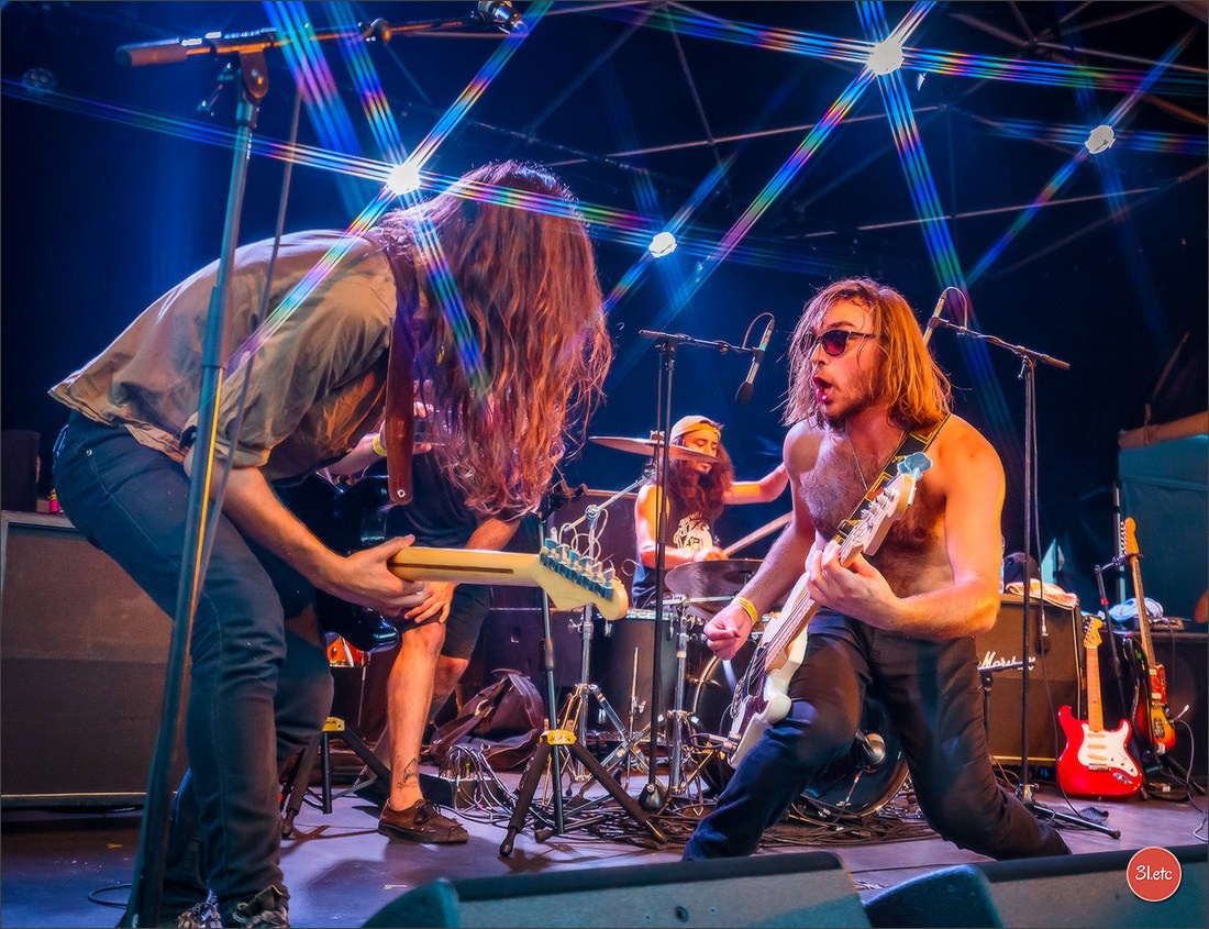 Concerts . Carnavals . Festivals. Photographe à Strasbourg | Portraits, Studio, Enfants, Événements