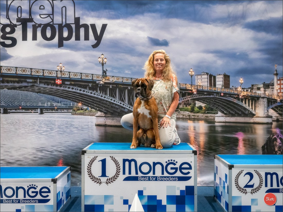 Dog Show Liege 🇧🇪 19-29/07/2025. Photographe à Strasbourg | Portraits, Studio, Enfants, Événements