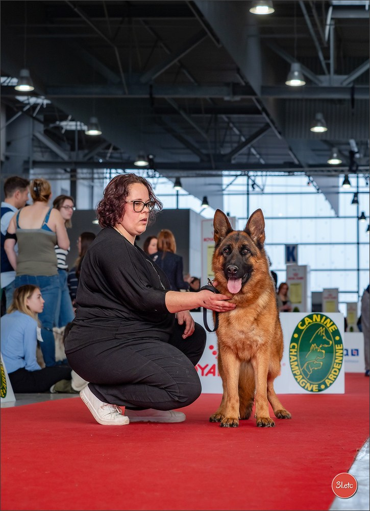 🇫🇷  Chalons en Champagne  🇫🇷  Expo canine  31/01-01/02/2026. Photographe à Strasbourg | Portraits, Studio, Enfants, Événements
