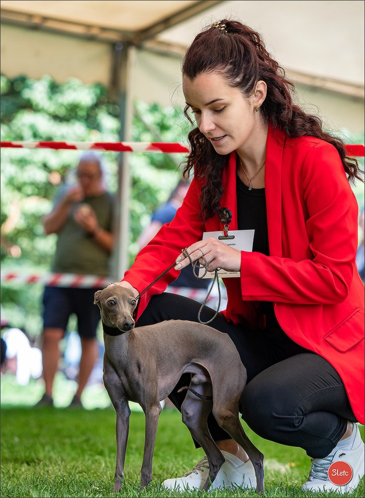 Dog Show Ludwigshafen  🇩🇪  16-17/08/2025. Photographe à Strasbourg | Portraits, Studio, Enfants, Événements