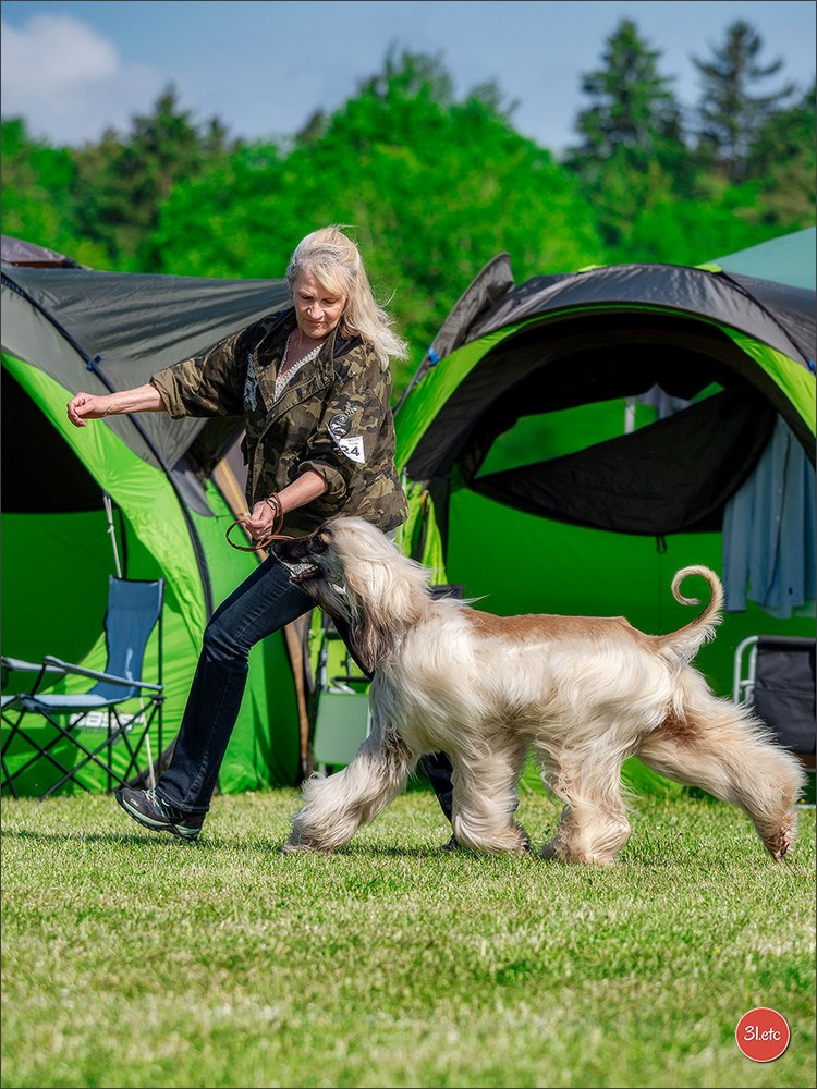 Dog Show Rieden 🇩🇪 16-18/05/2025. Photographe à Strasbourg | Portraits, Studio, Enfants, Événements