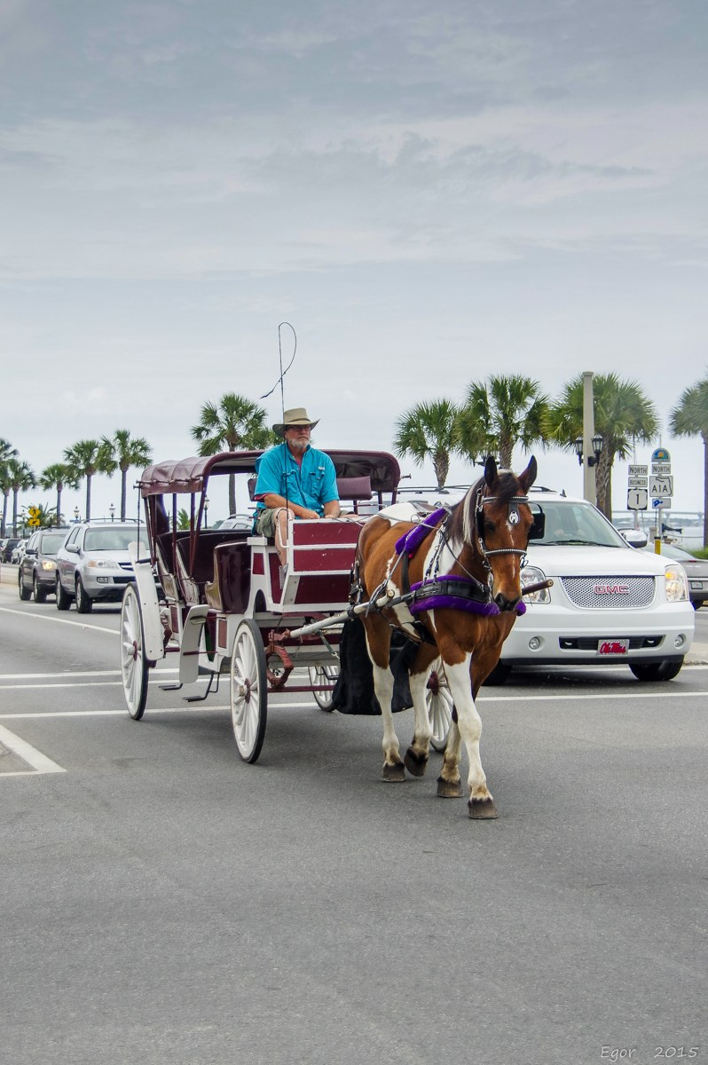 Moments. ARTIGO Igor Rudyi Art Photography