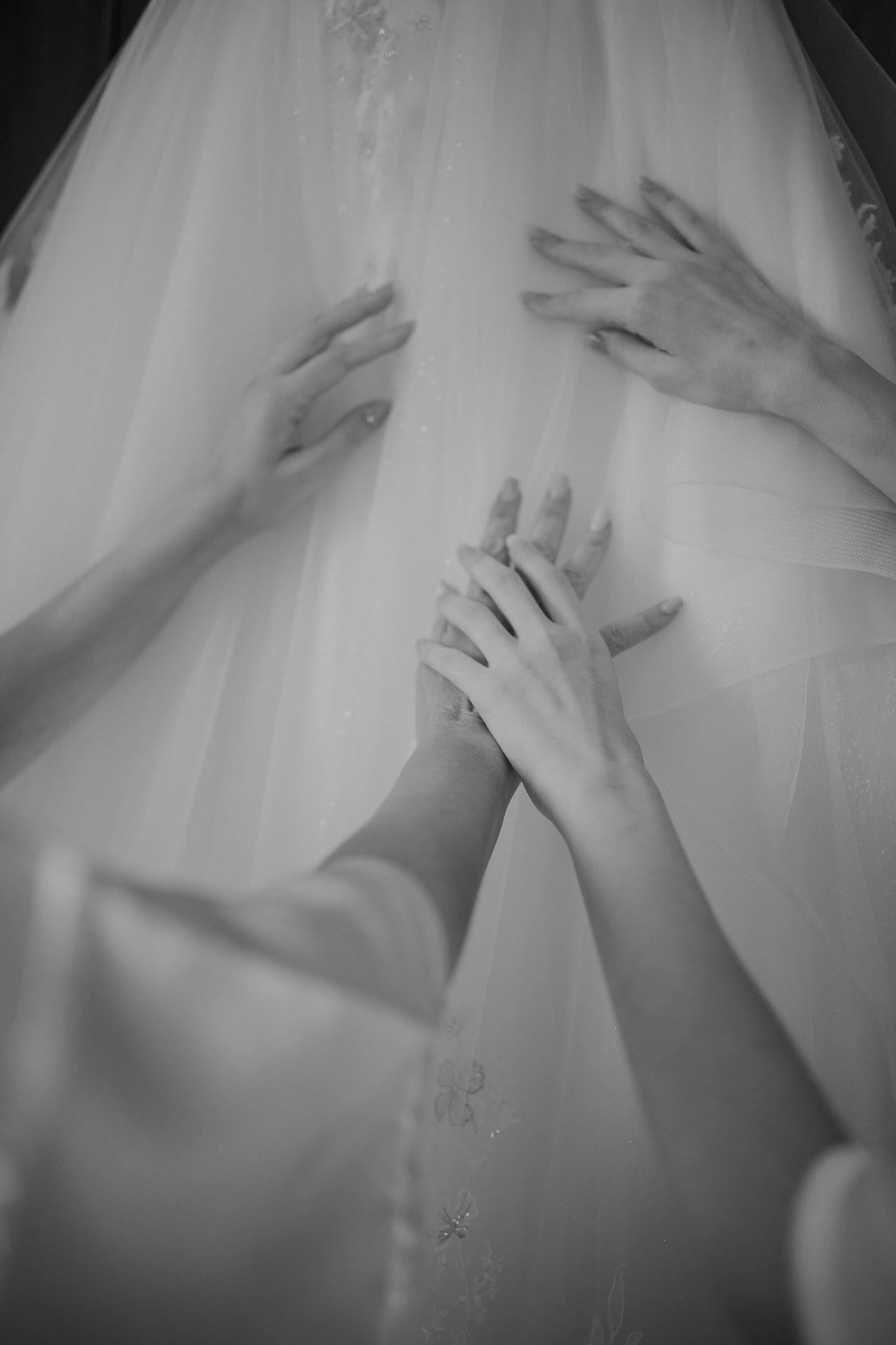 Boda en Villa Sagredo, Padua | El Velo Blanco. El Velo Blanco | Fotógrafos de Bodas en Barcelona y España