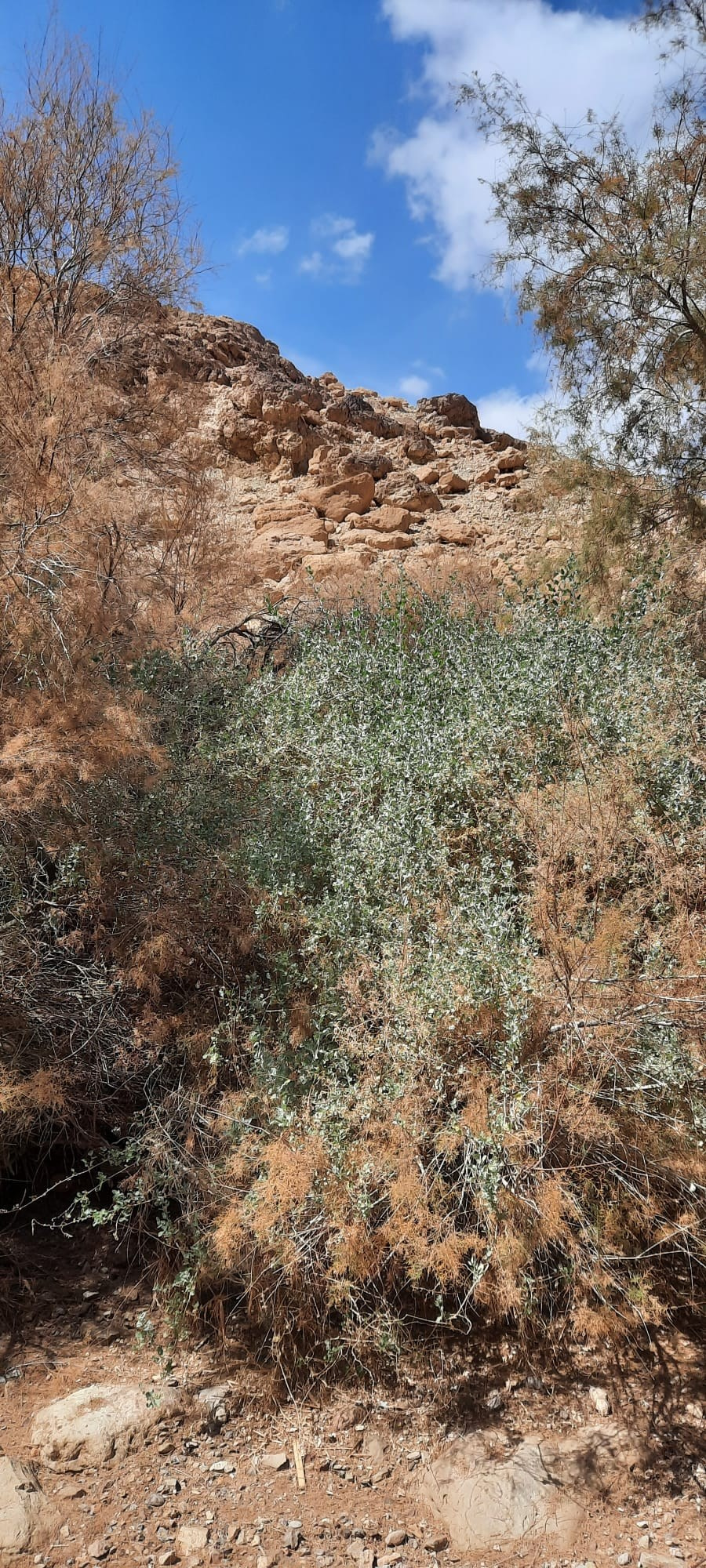 Женский поход 2024 — клуб «Нортман». КРиС «Нортман»