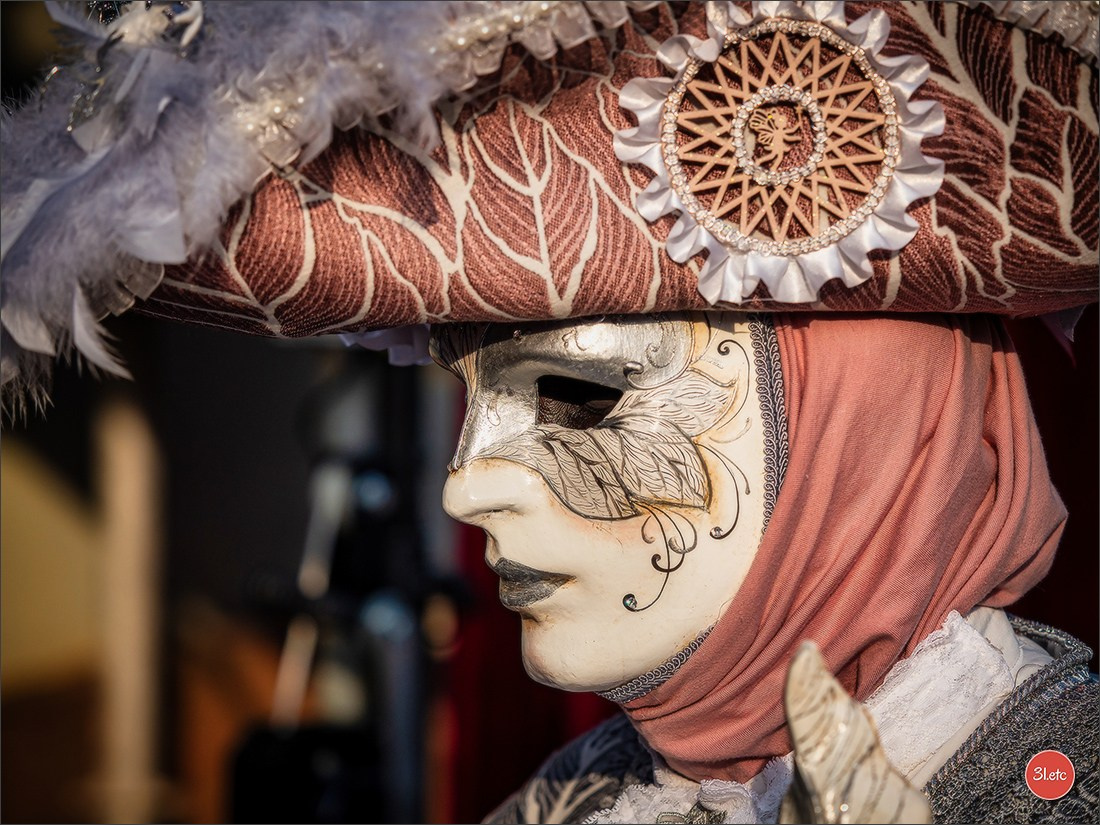 Carnaval vénitien de Rosheim 2026. Photographe à Strasbourg | Portraits, Studio, Enfants, Événements