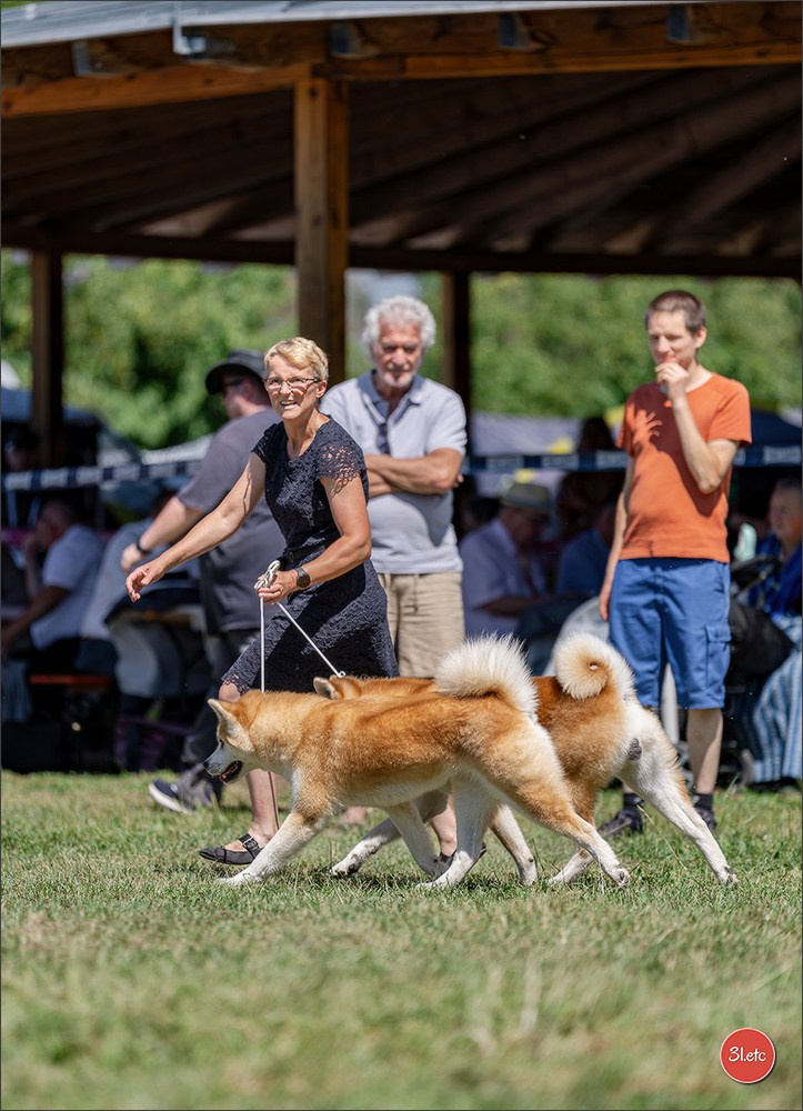 Dog Show - Hallbergmoos 🇩🇪 11-12/07/2026