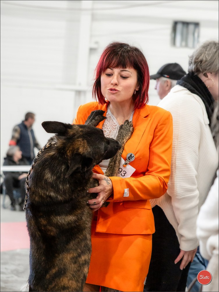 EXPOSITION CANINE NATIONALE ET INTERNATIONALE DE METZ (ACT LORRAINE) METZ (57) - 09 & 10/11/2024. Photographe à Strasbourg | Portraits, Studio, Enfants, Événements
