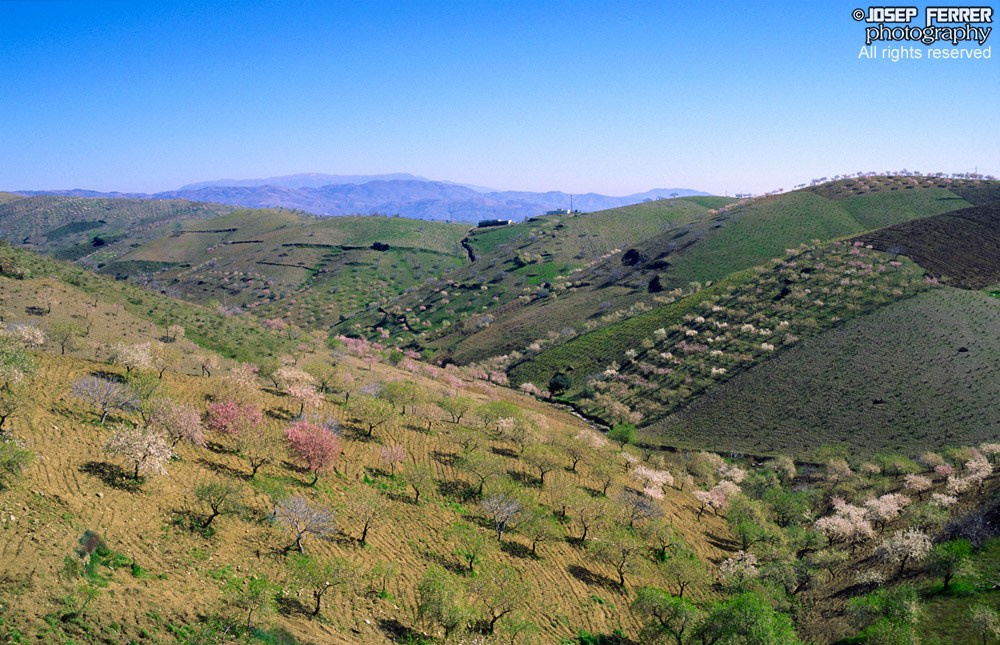 Fields, Las Alpujarras, Granada, Spain