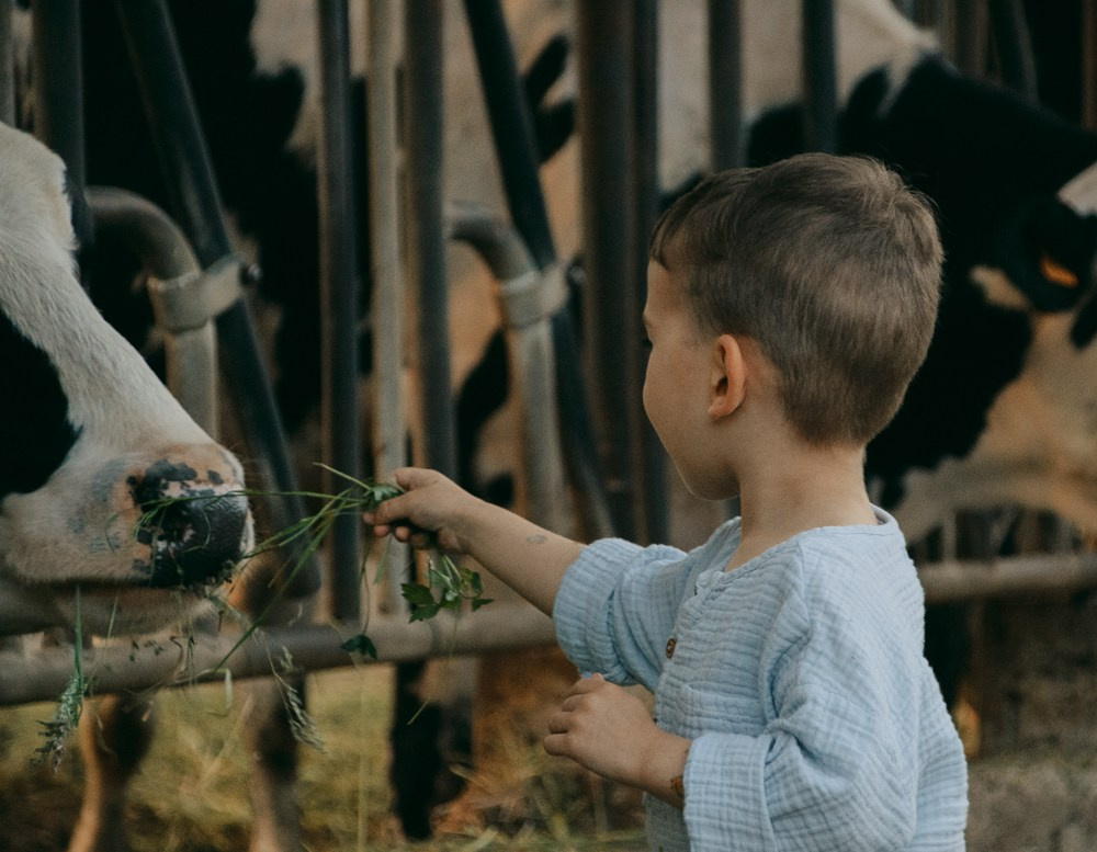 Farm. Anastasiia Buchinskaia Fotografa Milano