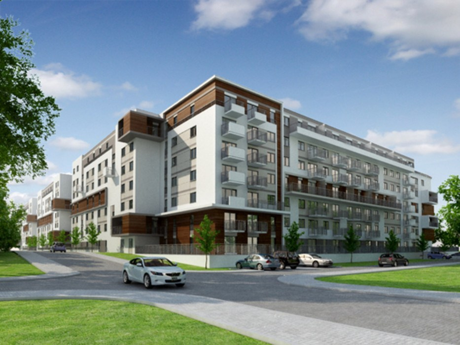 Projekty. Vector design studio Czesław Zubelewicz