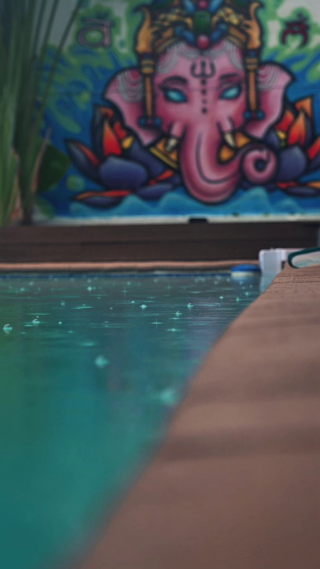 Portfolio Video. Tatiana Ketova