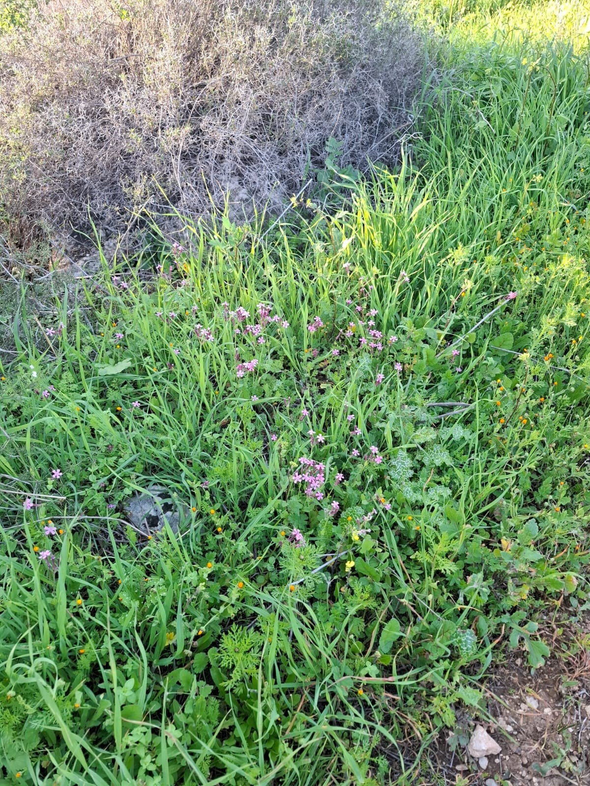 Женский поход с детьми — Клуб «Нортман» | реконструкция. КРиС «Нортман»