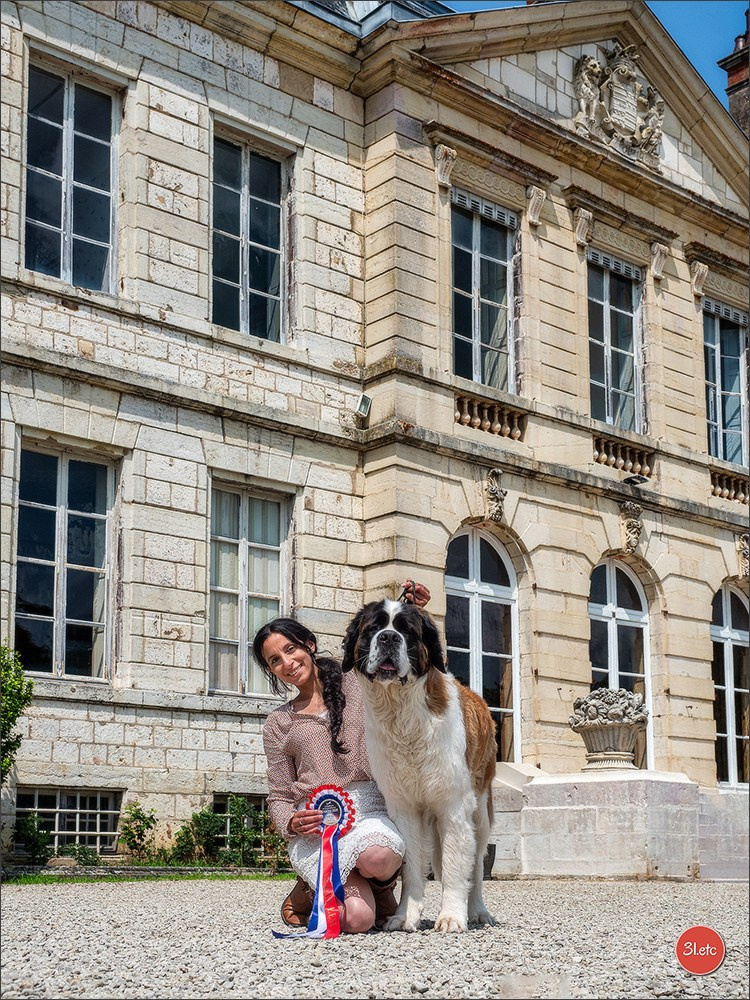 Championnat de France du chien de race  🇫🇷  DIJON (château de Brognon) 7-8/06/2025. Photographe à Strasbourg | Portraits, Studio, Enfants, Événements