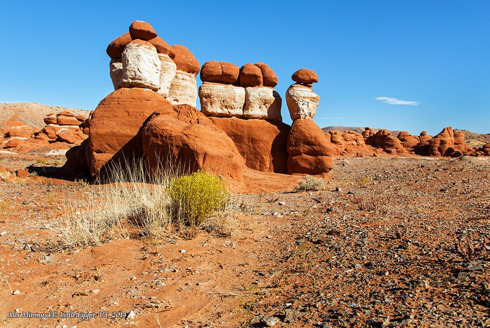 Eagle’s View: The American Southwest. Pet, Senior, Landscape, portrait studio, photographer in Miami and Sou