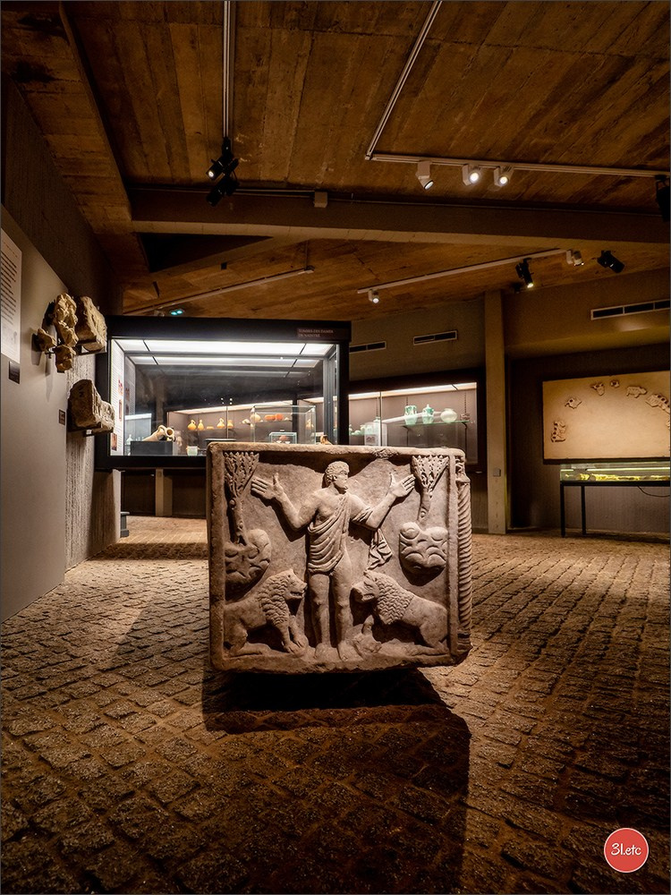 Poitiers 🇫🇷. Photographe à Strasbourg | Portraits, Studio, Enfants, Événements