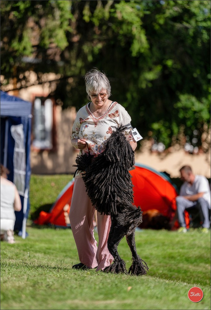 🇫🇷  CHARTRES  🇫🇷  2026  🇫🇷  Exposition Canine Nationale - Château des Boulard