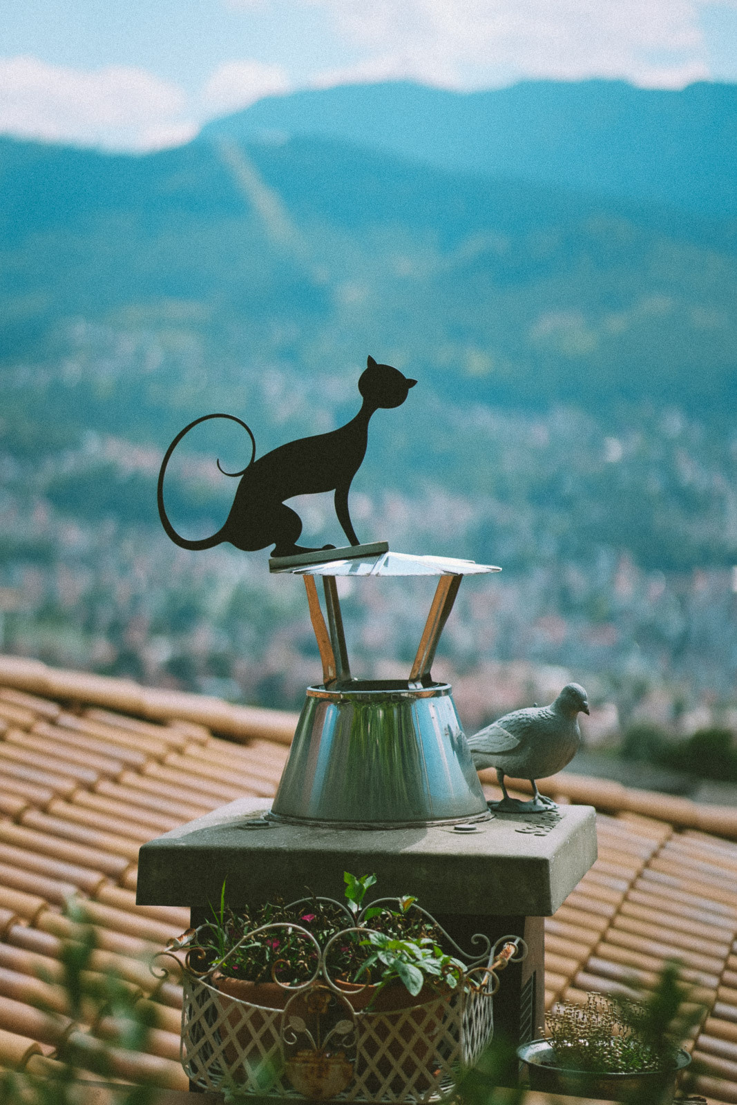 29th Sarajevo Film Festival. Profesionalna Fotografija i Videografija | Sarajevo | yasinemir.com