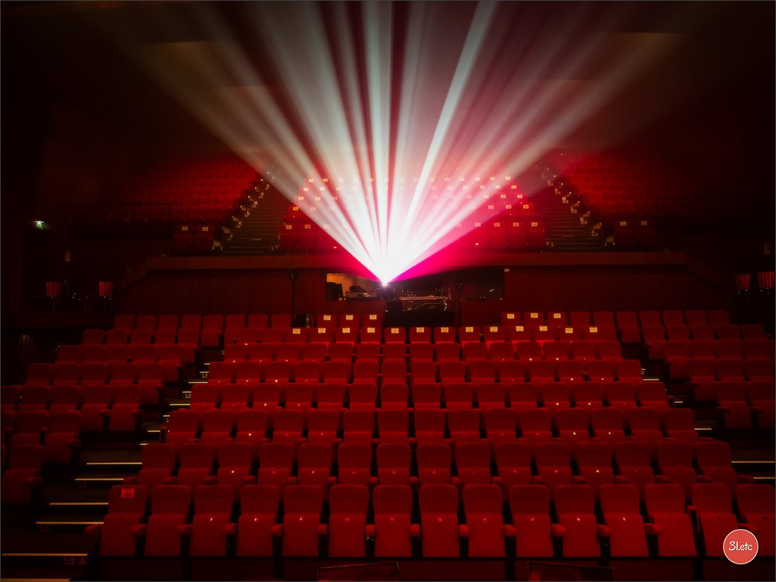 Concerts . Carnavals . Festivals. Photographe à Strasbourg | Portraits, Studio, Enfants, Événements