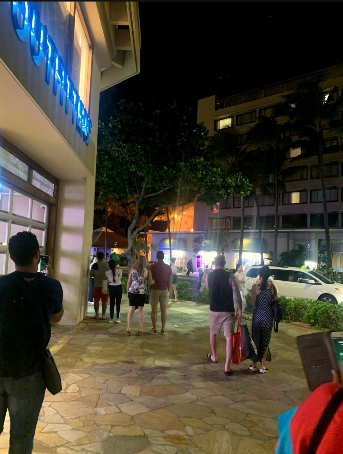 Lens Work From The Field 7