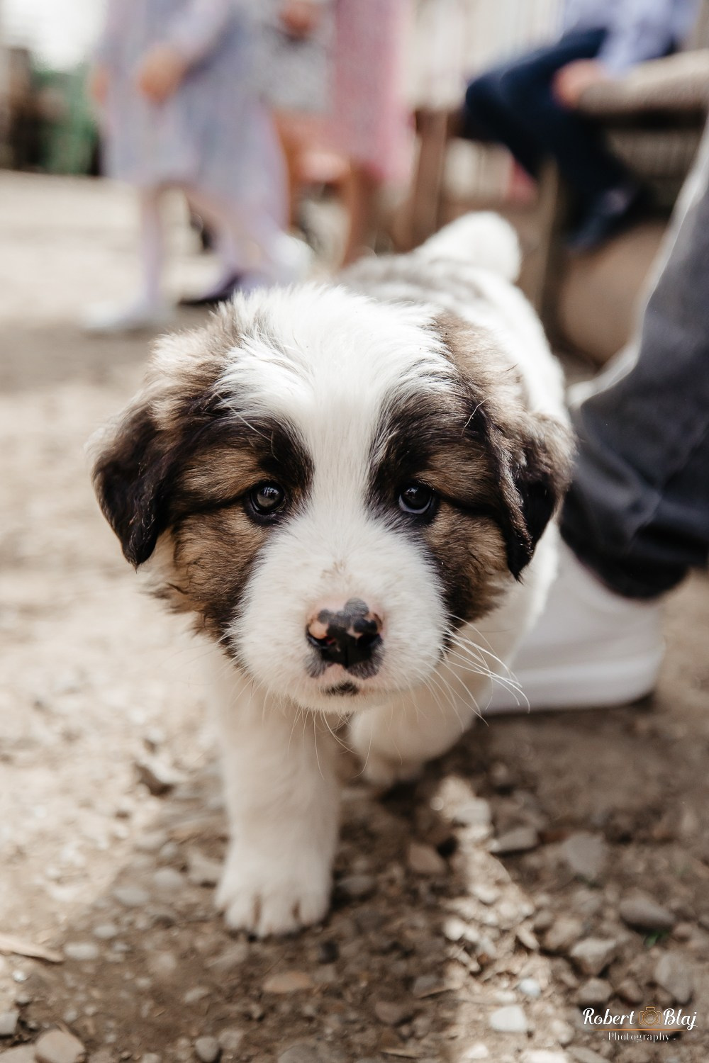 Clara. Robert Blaj - Fotograf Nuntă Iași