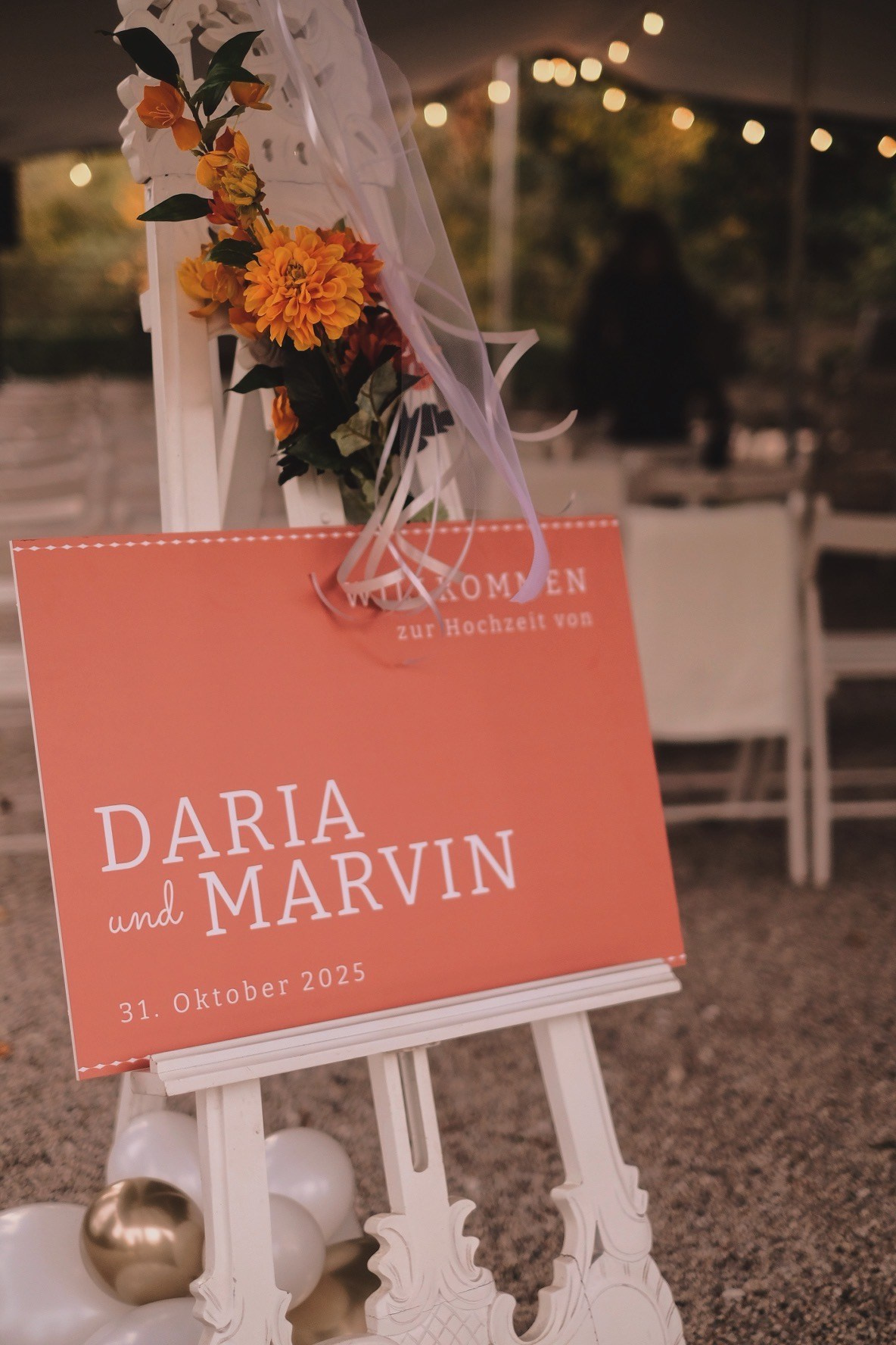 D & M. Sasha Silver Photography