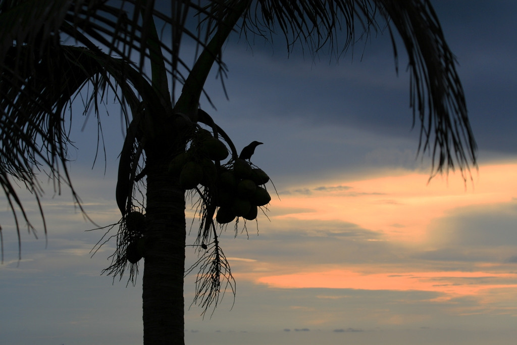 Artistic Photos. Professional Artist, teacher of art, Artistic Photographer In Dubai (U