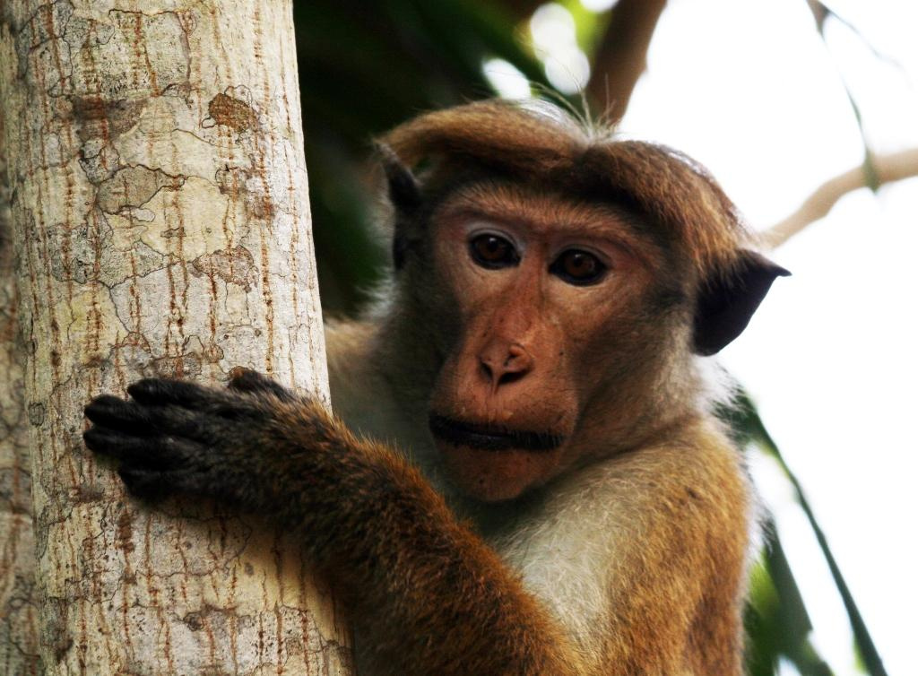 Artistic Photos. Professional Artist, teacher of art, Artistic Photographer In Dubai (U