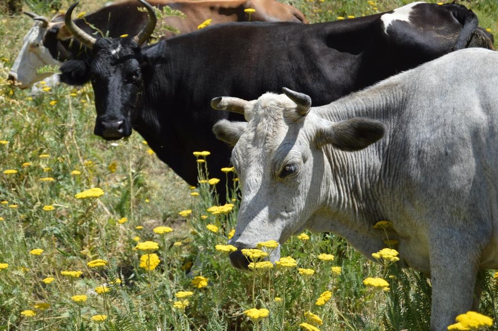 Artistic Photos. Professional Artist, teacher of art, Artistic Photographer In Dubai (U