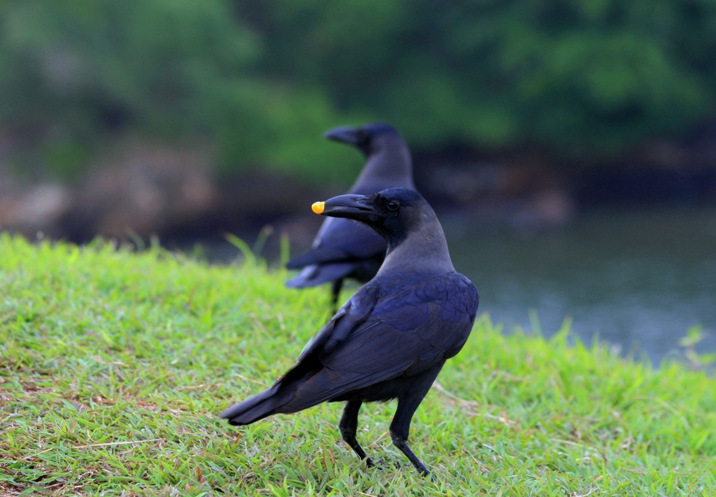 Artistic Photos. Professional Artist, teacher of art, Artistic Photographer In Dubai (U