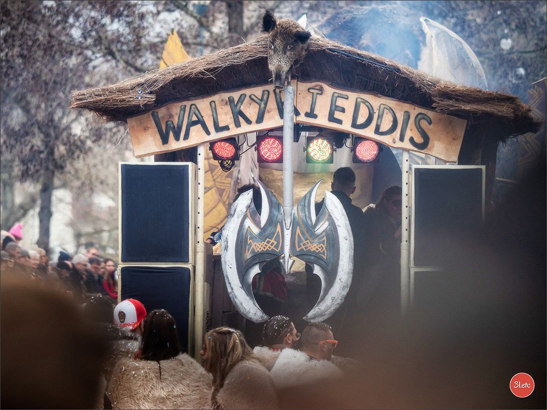 Traditional February carnival. Music, dancing, costume performances. C. Photographe à Strasbourg | Portraits, Studio, Enfants, Événements