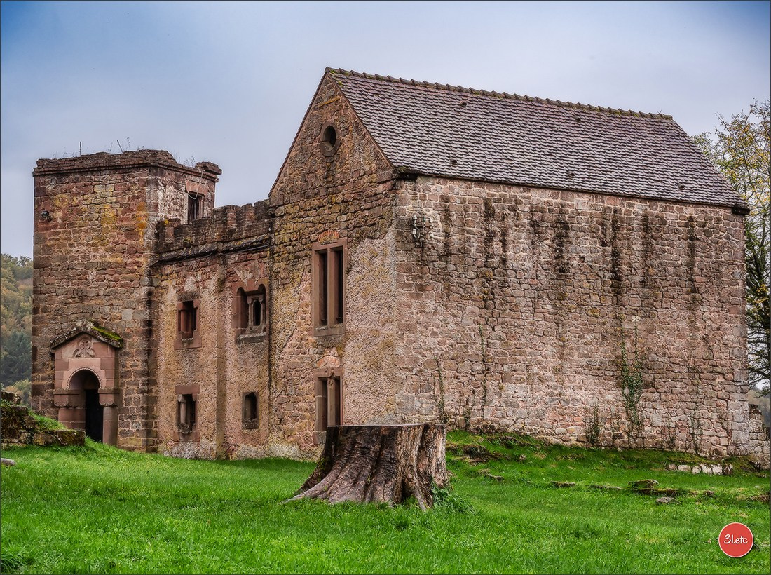 Ретрит в Эльзасе с Марией Ланг. Photographe à Strasbourg | Portraits, Studio, Enfants, Événements