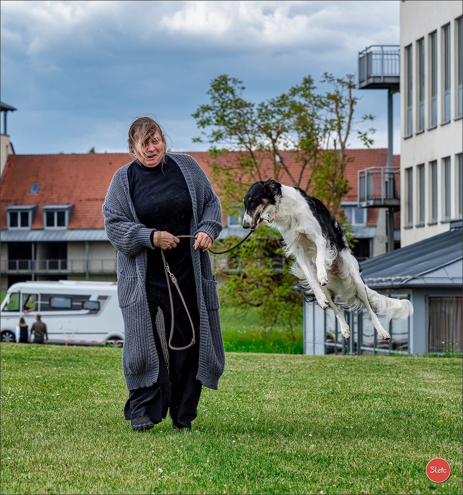 Dog Show Rieden 🇩🇪 16-18/05/2025. Photographe à Strasbourg | Portraits, Studio, Enfants, Événements