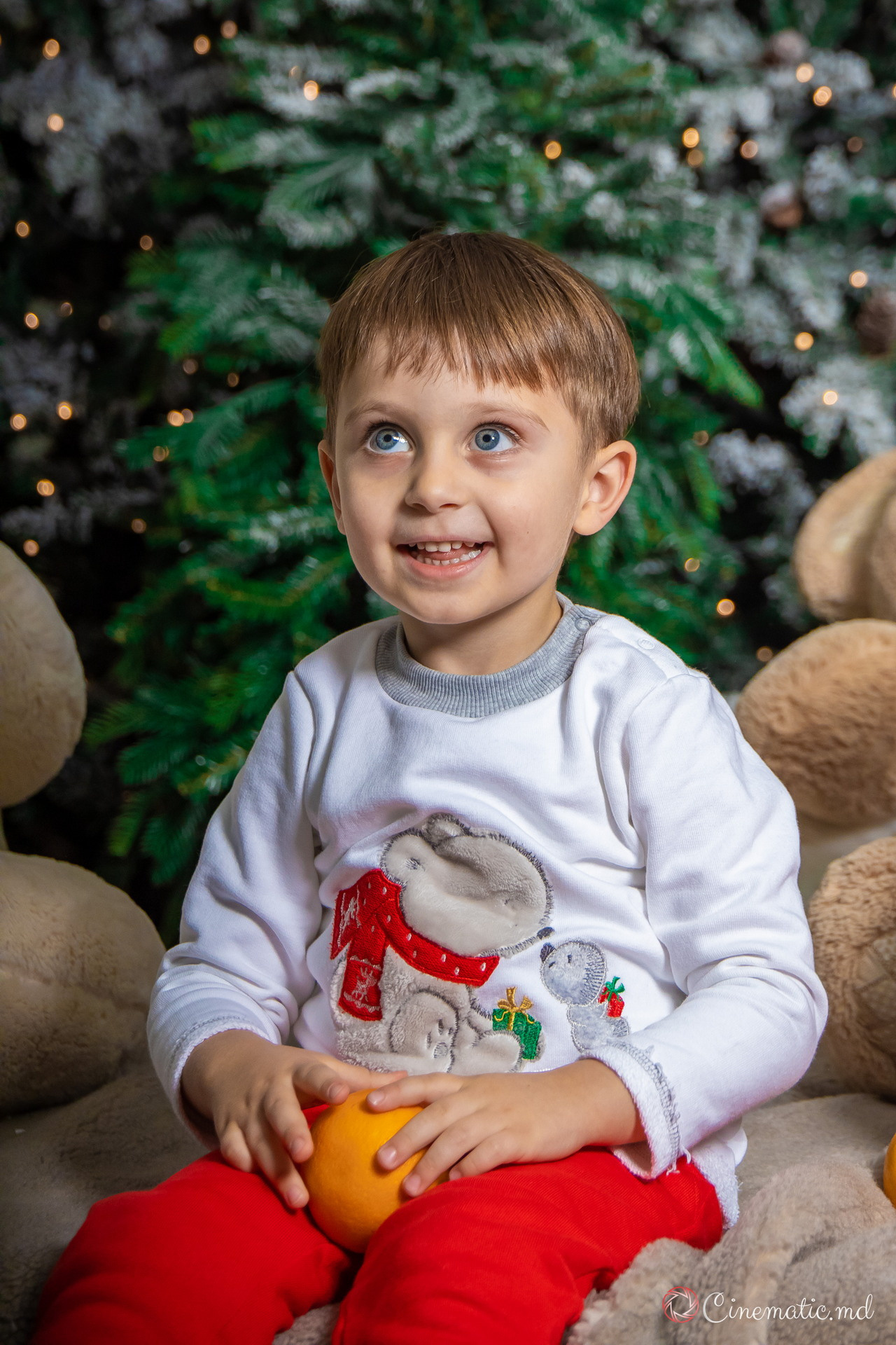 New Year. ✔️ Фото Видео на свадьбы и крестины Молдова — Cinematic.md