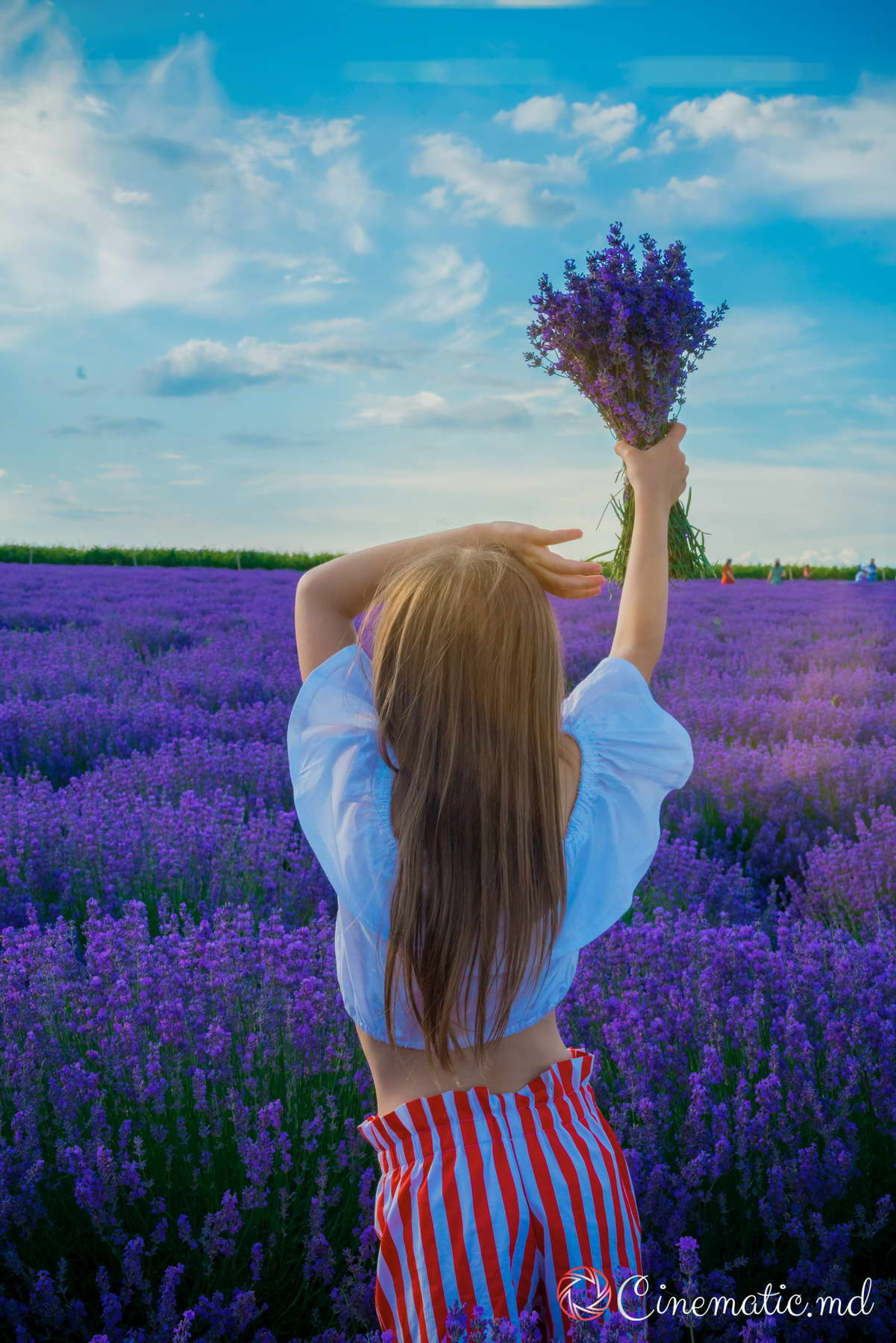 Lavanda. ✔️ Фото Видео на свадьбы и крестины Молдова — Cinematic.md