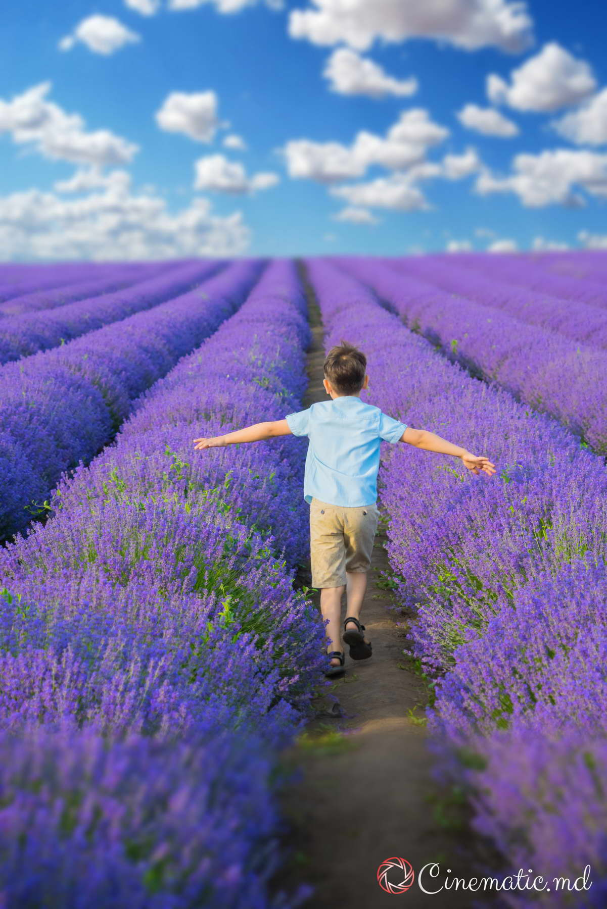 Lavanda. ✔️ Фото Видео на свадьбы и крестины Молдова — Cinematic.md