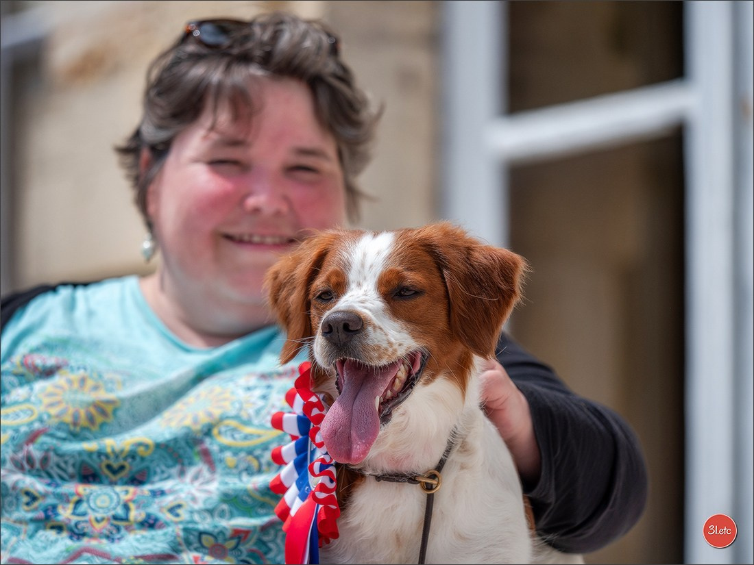 Championnat de France du chien de race  🇫🇷  DIJON (château de Brognon) 7-8/06/2025. Photographe à Strasbourg | Portraits, Studio, Enfants, Événements