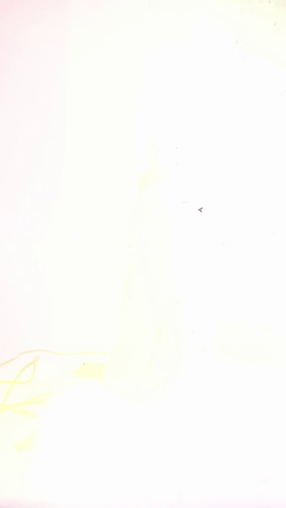 Videography. InHype Studio