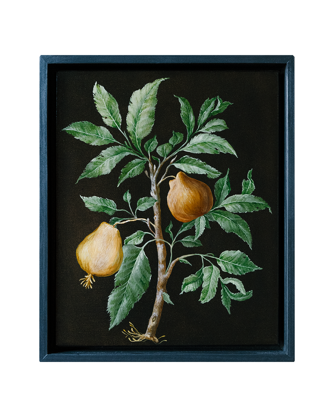 Botanical Etude No. 6. ELEN BEZHEN