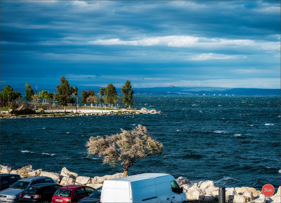 Martigues 19-20/04/2025. Photographe à Strasbourg | Portraits, Studio, Enfants, Événements