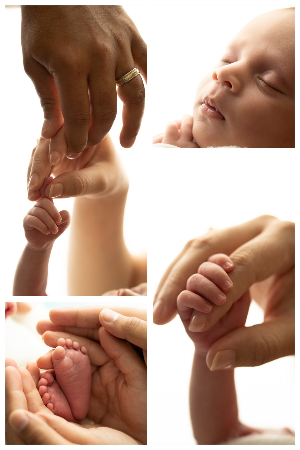 Posed Newborn. Maternity, family and newborn photography in San Francisco Bay Area