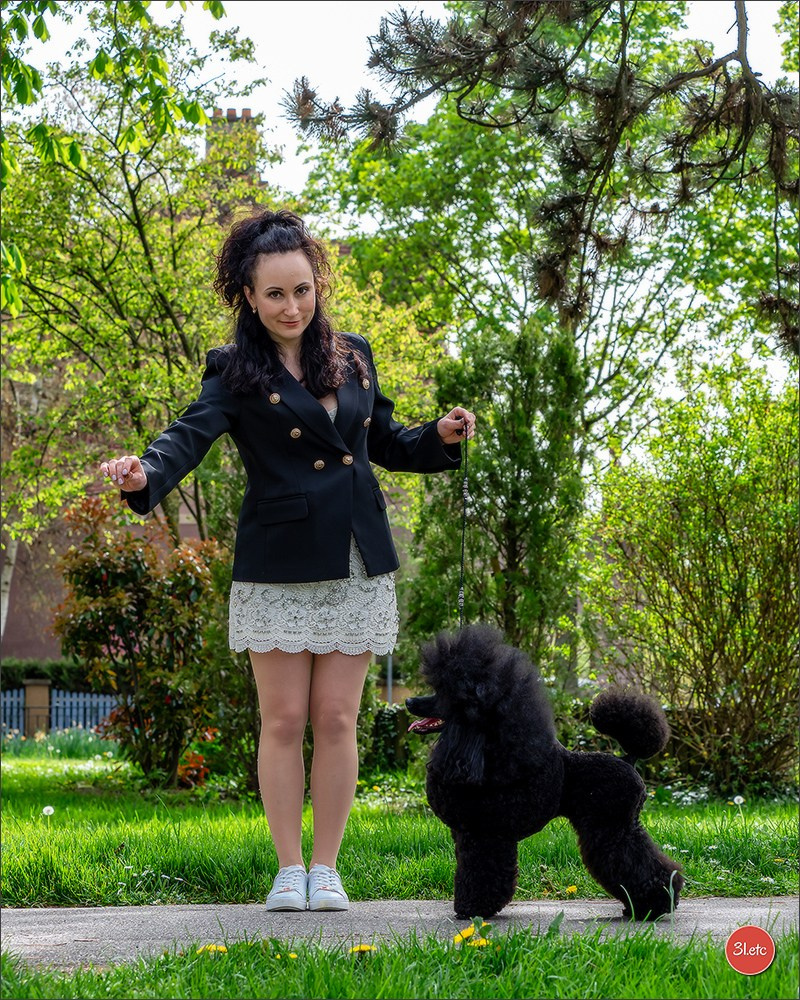 Expositions canines des 6 & 7 avril 2024 NDS Mulhouse, France. Photographe à Strasbourg | Portraits, Studio, Enfants, Événements