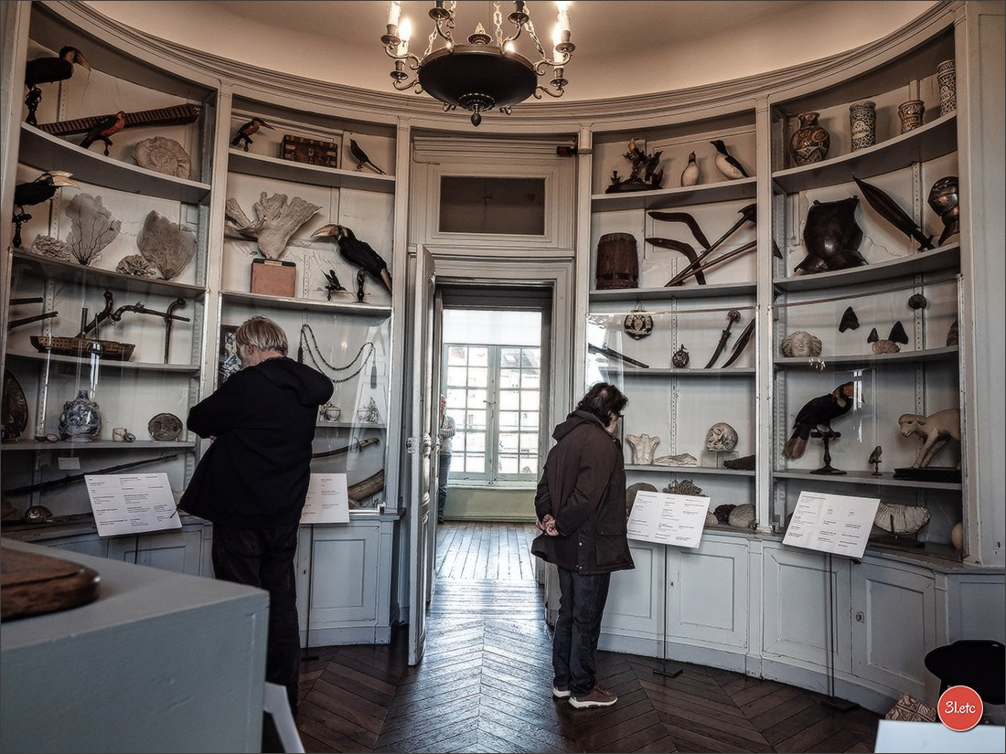 Chateauroux 🇫🇷. Photographe à Strasbourg | Portraits, Studio, Enfants, Événements
