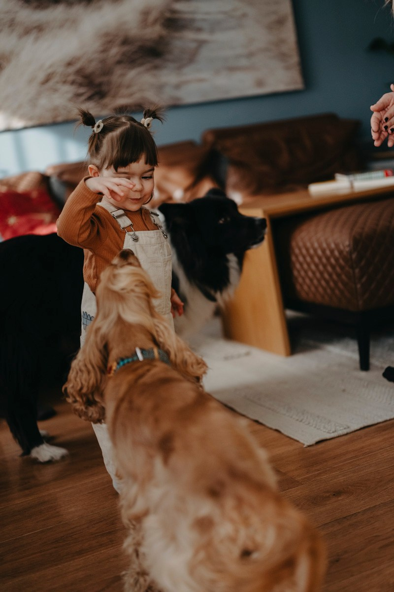 Natasa, Ema i Lazar — porodicno fotografisanje kod kuce. Deciji i porodicni fotograf u Beogradu Oksana Skendzic